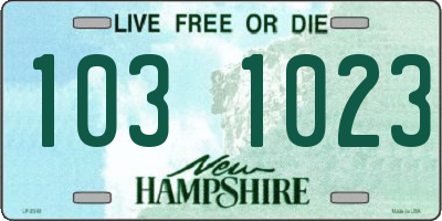 NH license plate 1031023