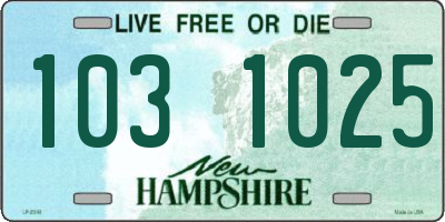 NH license plate 1031025