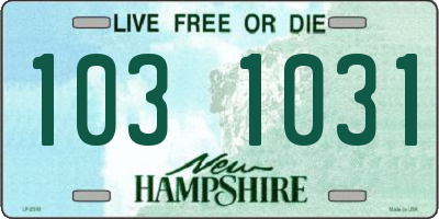 NH license plate 1031031
