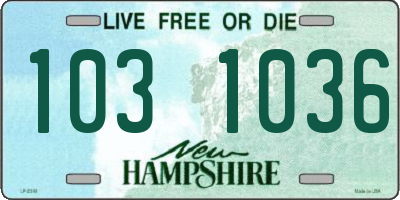 NH license plate 1031036