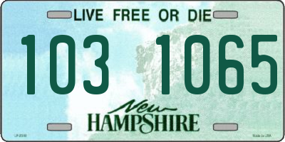 NH license plate 1031065