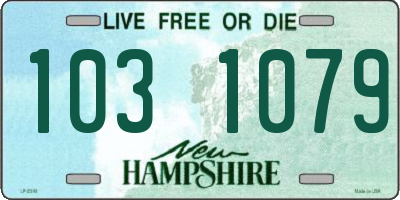 NH license plate 1031079