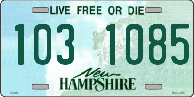 NH license plate 1031085