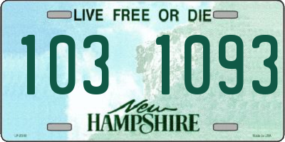 NH license plate 1031093