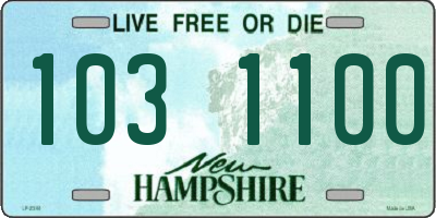 NH license plate 1031100