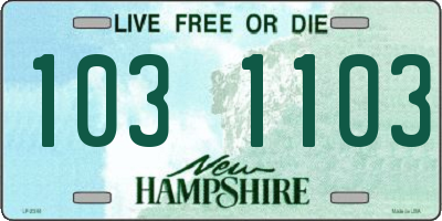 NH license plate 1031103