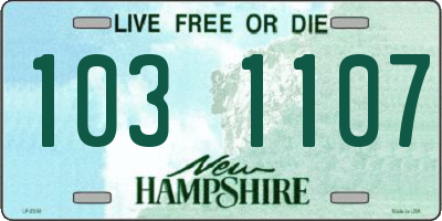 NH license plate 1031107