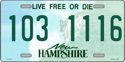 NH license plate 1031116