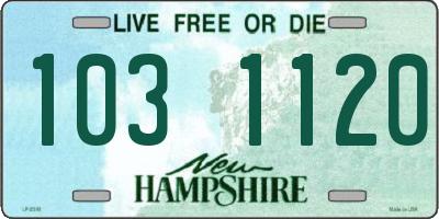 NH license plate 1031120