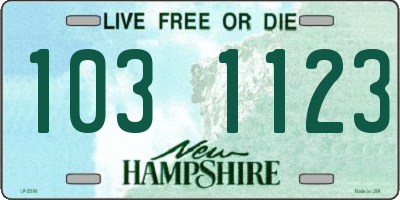 NH license plate 1031123