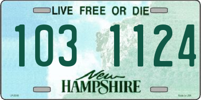 NH license plate 1031124