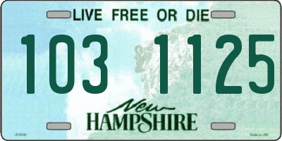 NH license plate 1031125