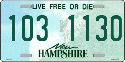 NH license plate 1031130