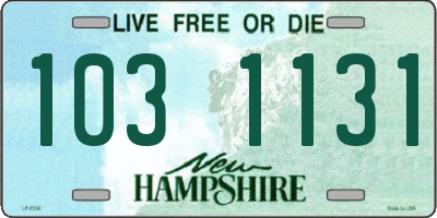 NH license plate 1031131