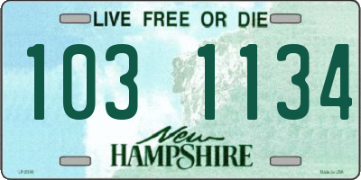 NH license plate 1031134