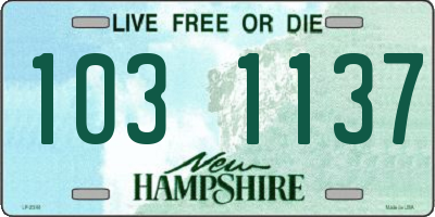 NH license plate 1031137