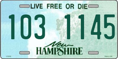 NH license plate 1031145