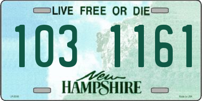 NH license plate 1031161