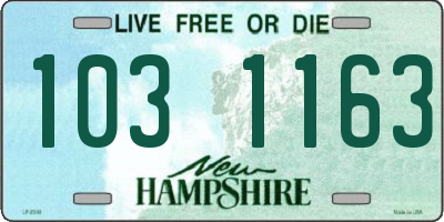 NH license plate 1031163
