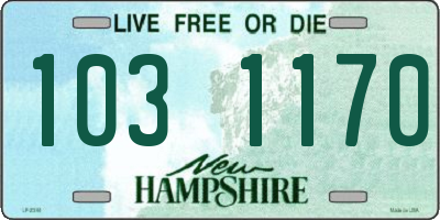 NH license plate 1031170