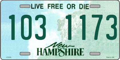 NH license plate 1031173