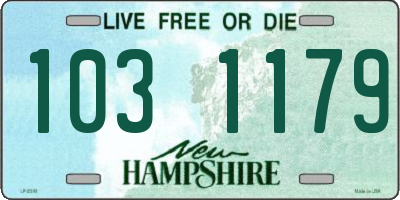 NH license plate 1031179