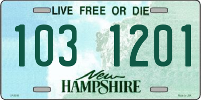 NH license plate 1031201