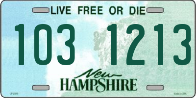 NH license plate 1031213
