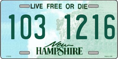 NH license plate 1031216