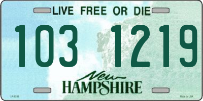 NH license plate 1031219