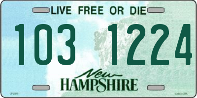 NH license plate 1031224