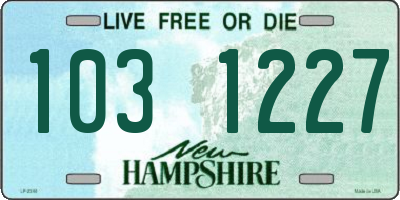 NH license plate 1031227