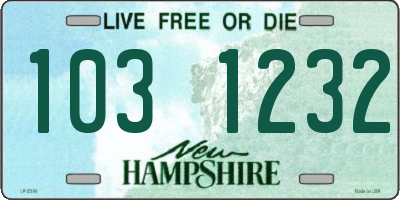 NH license plate 1031232