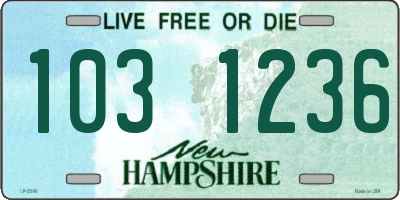 NH license plate 1031236