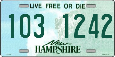 NH license plate 1031242