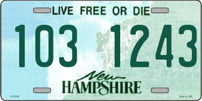 NH license plate 1031243