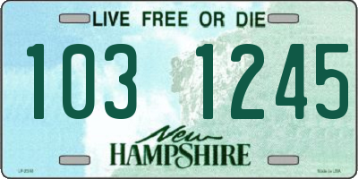 NH license plate 1031245