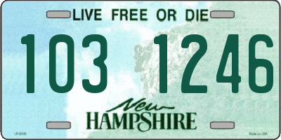 NH license plate 1031246