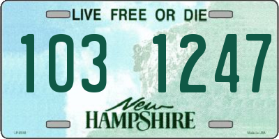NH license plate 1031247