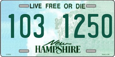 NH license plate 1031250
