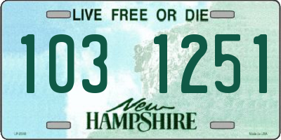 NH license plate 1031251
