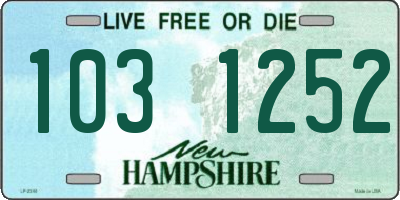 NH license plate 1031252