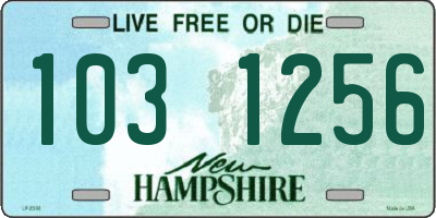 NH license plate 1031256
