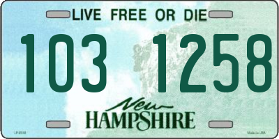 NH license plate 1031258