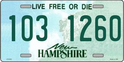 NH license plate 1031260