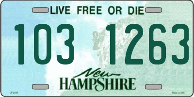 NH license plate 1031263