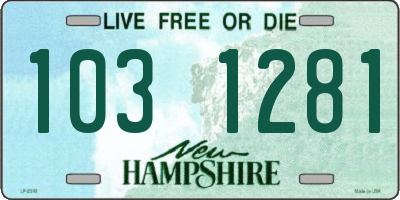 NH license plate 1031281