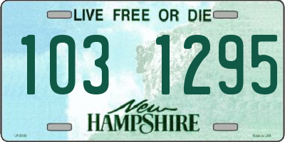 NH license plate 1031295