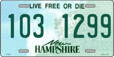 NH license plate 1031299