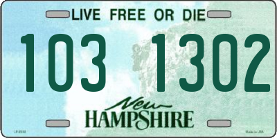 NH license plate 1031302